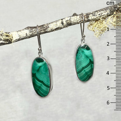 Oval Malachite Earrings