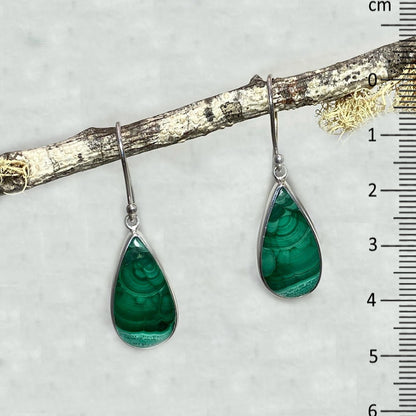 Teardrop Malachite Earrings