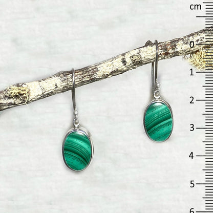Oval Malachite Earrings