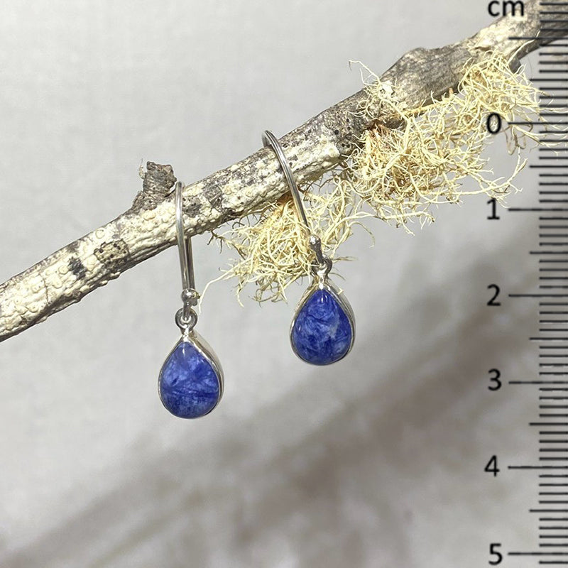 Teardrop Sodalite Earrings