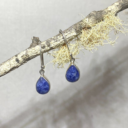 Teardrop Sodalite Earrings