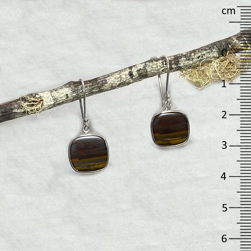 Square Tigers Eye Earrings