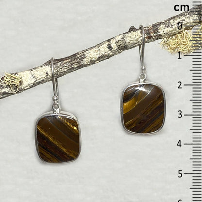 Square Tigers Eye Earrings