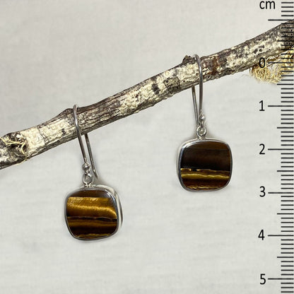 Square Tigers Eye Earrings