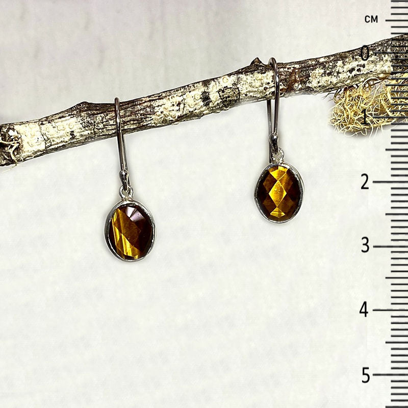 Faceted Oval Tiger Eye Earrings