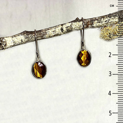 Faceted Oval Tiger Eye Earrings