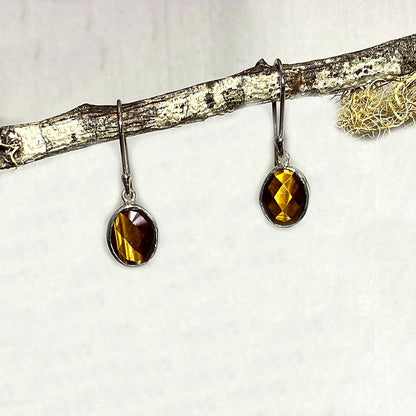 Faceted Oval Tiger Eye Earrings