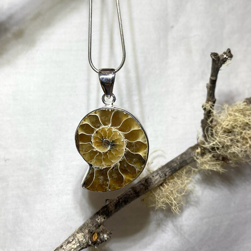 Ammonite Pendant