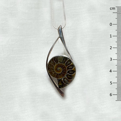 Ammonite Pendant