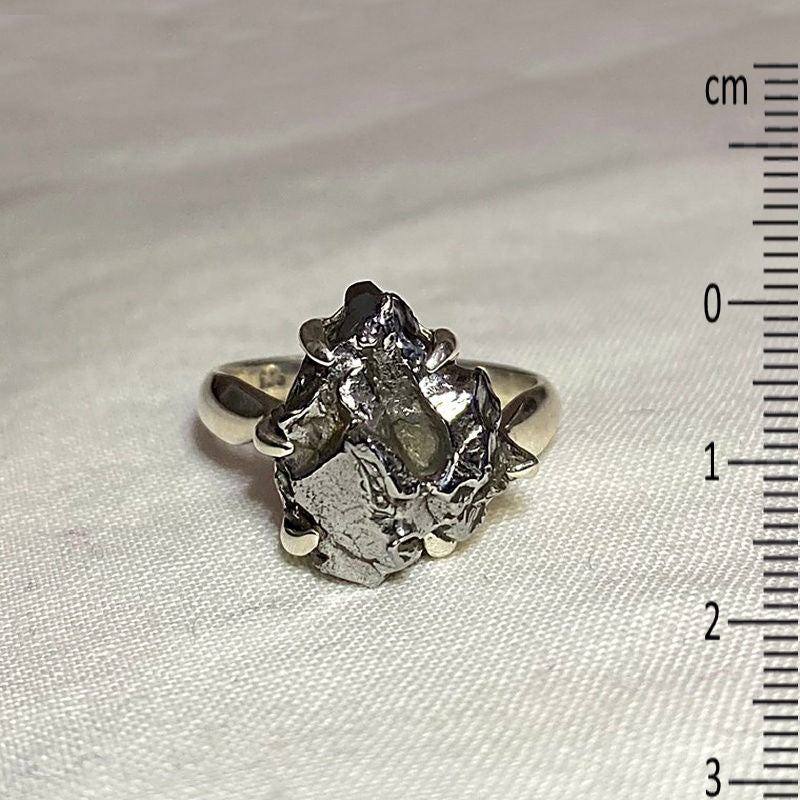 Freeform Meteorite (Campo Del Cielo) Ring- Size 8