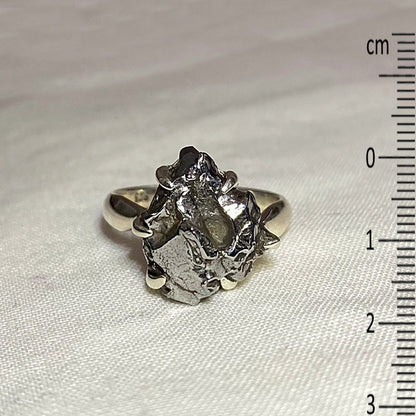 Freeform Meteorite (Campo Del Cielo) Ring- Size 8