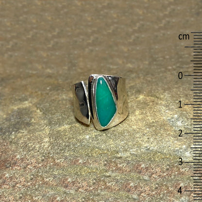 Freeform Blue Fossil Opal Wood Ring- Size 8