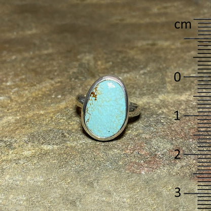 Freeform Turquoise Ring- Size 7