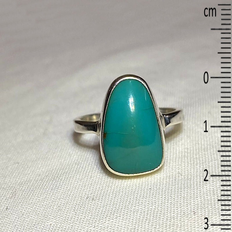Freeform Turquoise Ring- Size 8.5