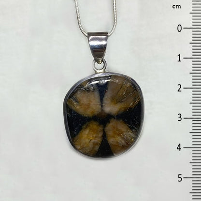 Chiastolite Pendant