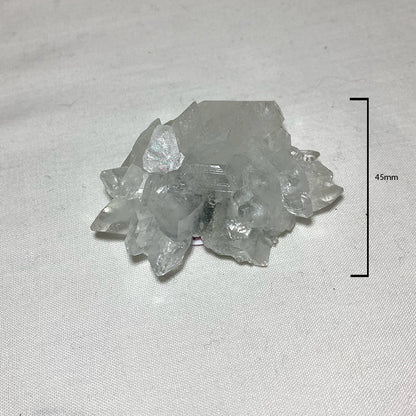 Apophyllite Cluster