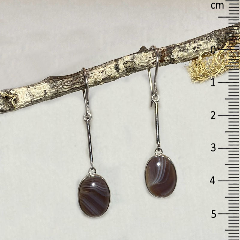 Oval Botswana Agate Earrings
