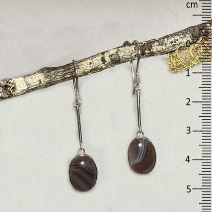 Oval Botswana Agate Earrings