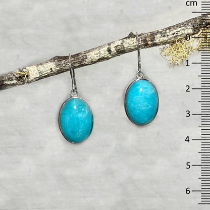 Oval Amazonite Earrings