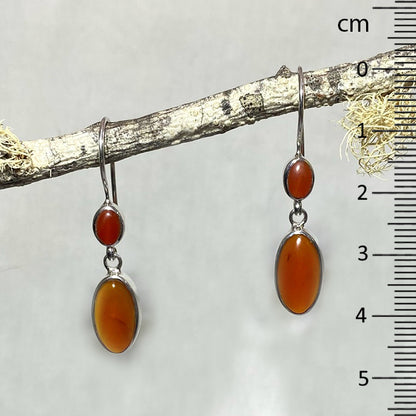 Round & Oval Carnelian Earrings