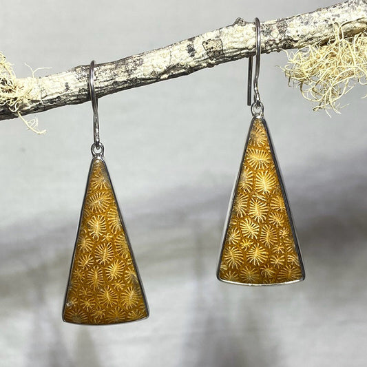 Triangle Fossil Coral Earrings