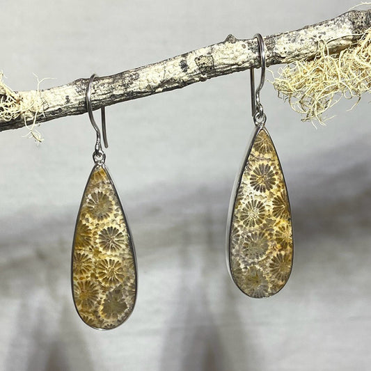 Teardrop Fossil Coral Earrings