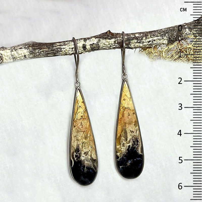 Teardrop Fossil Palm Root Earrings