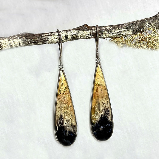 Teardrop Fossil Palm Root Earrings