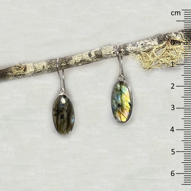 Oval Labradorite Earrings