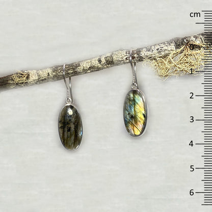 Oval Labradorite Earrings
