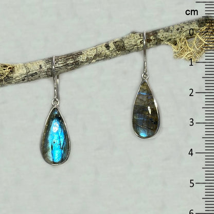 Teardrop Labradorite Earrings