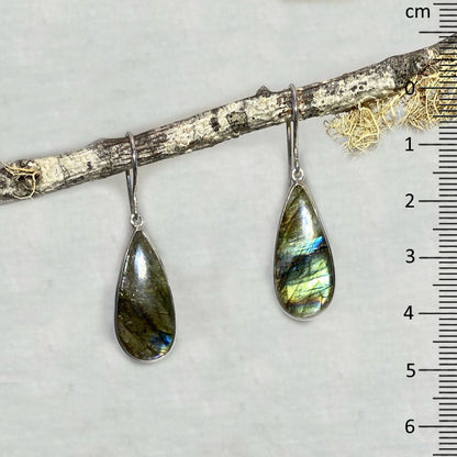 Teardrop Labradorite Earrings