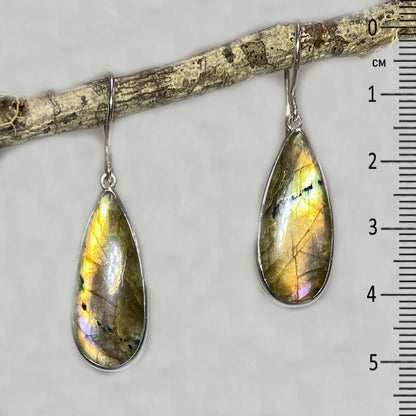 Teardrop Labradorite Earrings