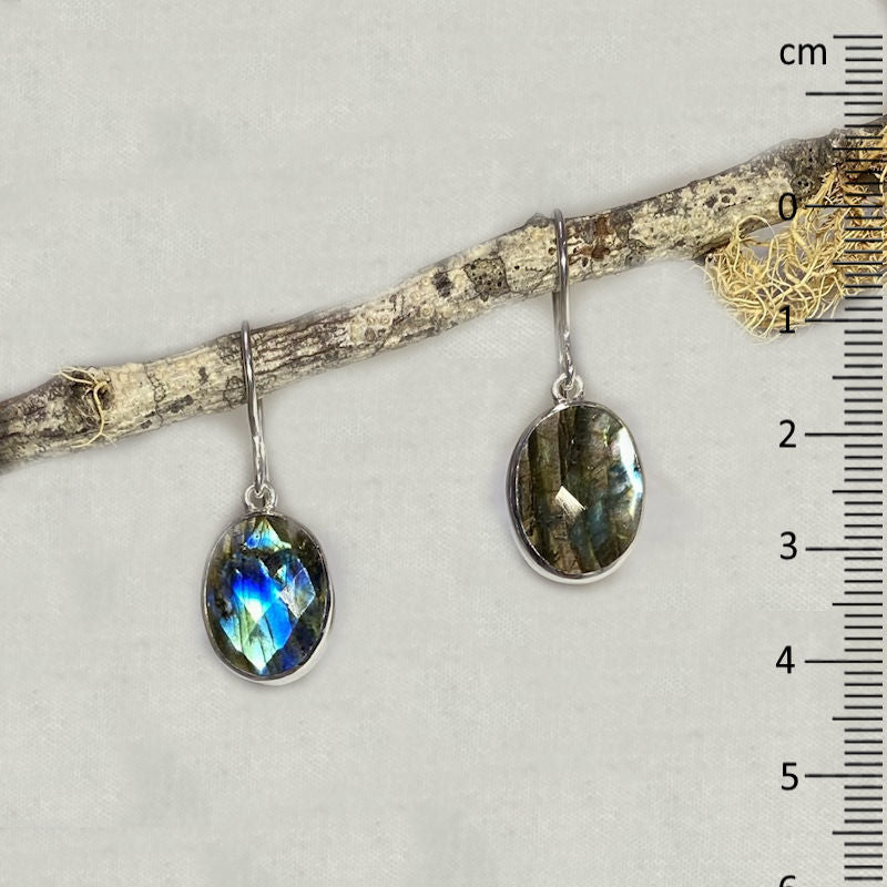 Faceted Oval Labradorite Earrings
