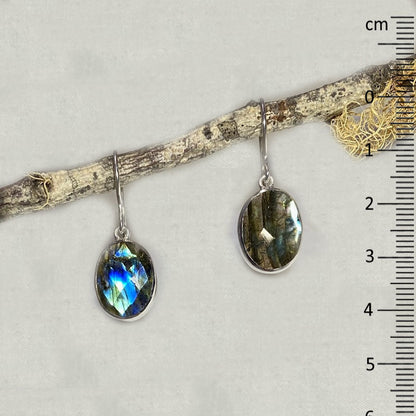Faceted Oval Labradorite Earrings