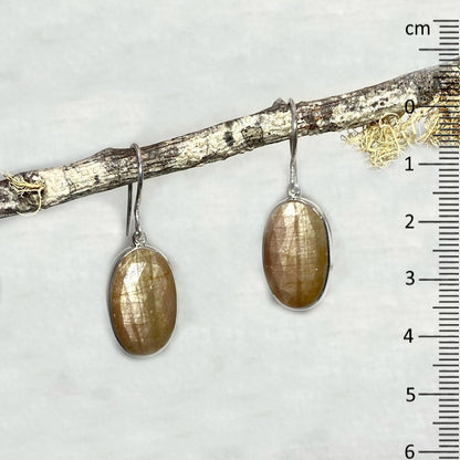 Faceted Oval Golden Sheen Sapphire Earrings