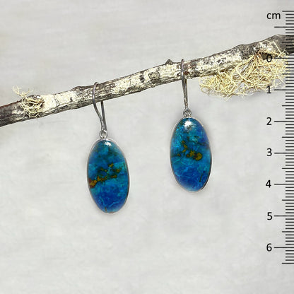 Oval Shattuckite Earrings