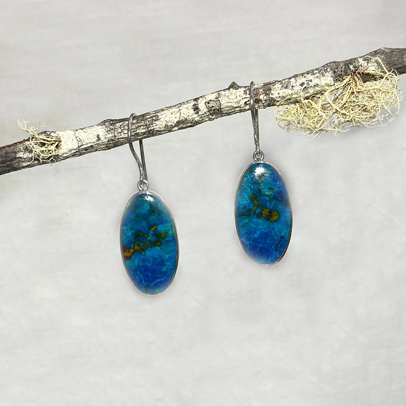 Oval Shattuckite Earrings