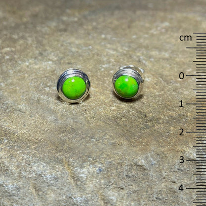 Round Mojave Turquoise Stud Earrings