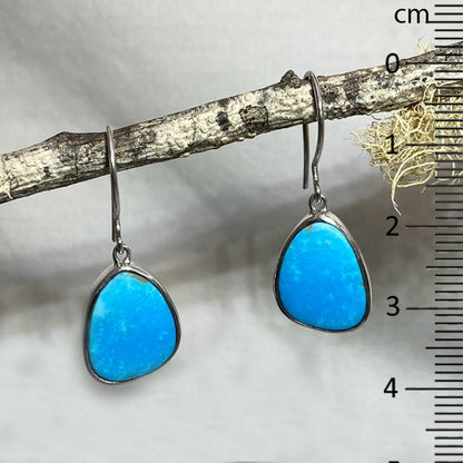 Freeform Kingman Turquoise Earrings