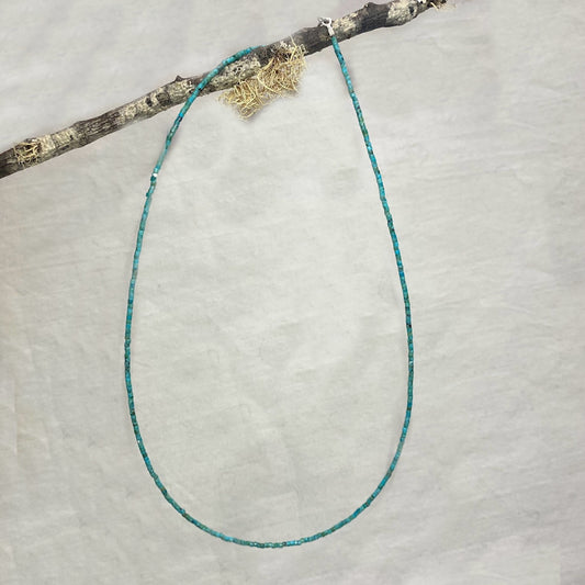 Turquoise Beaded Necklace