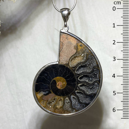 Ammonite Pendant