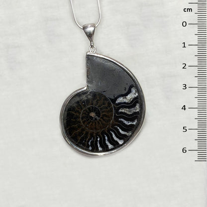 Ammonite Pendant