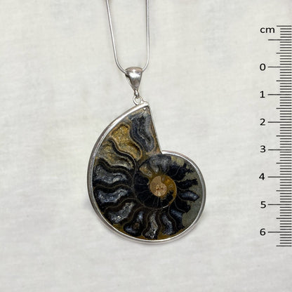 Ammonite Pendant