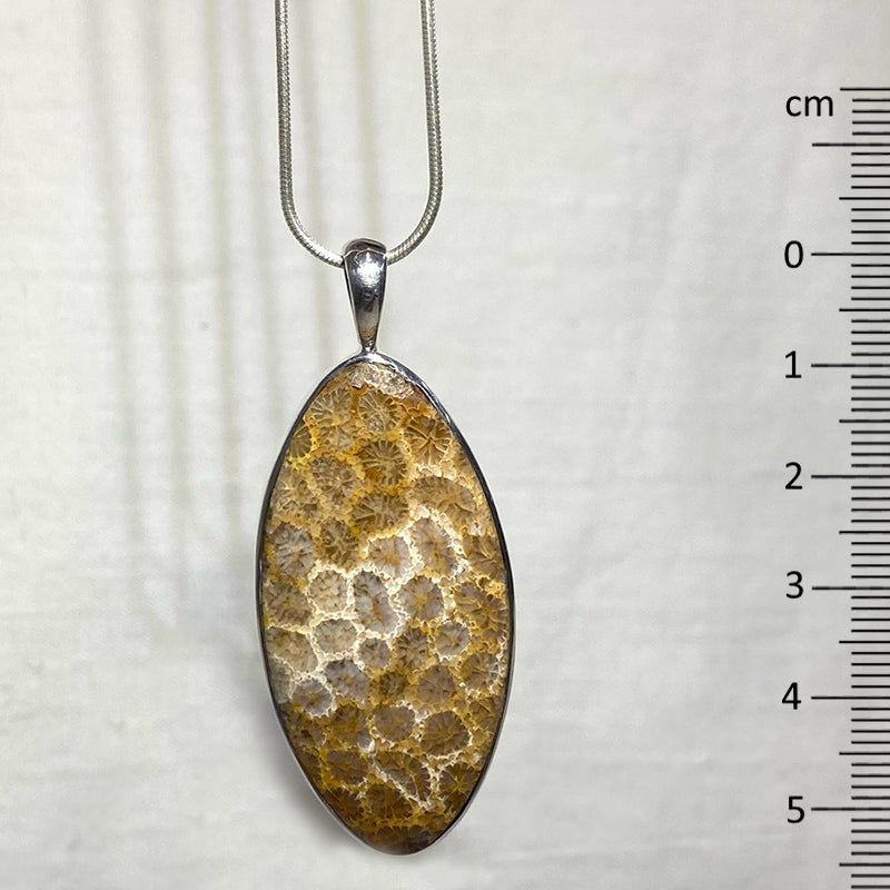 Leaf Shaped Fossil Coral Pendant