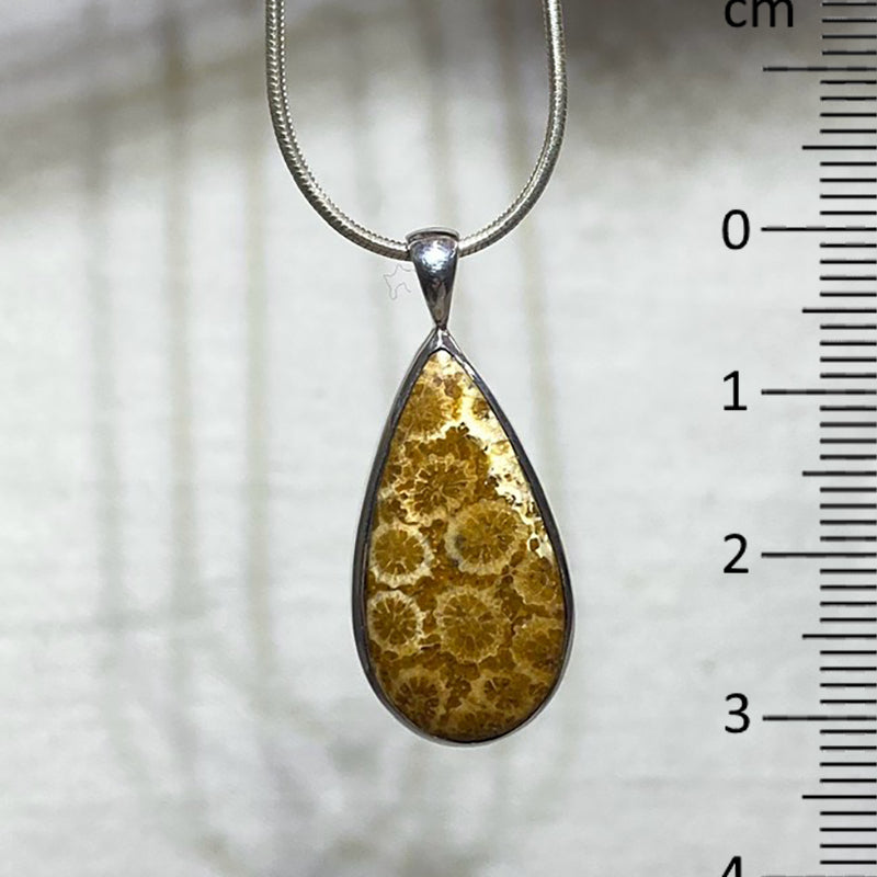 Teardrop Fossil Coral Pendant