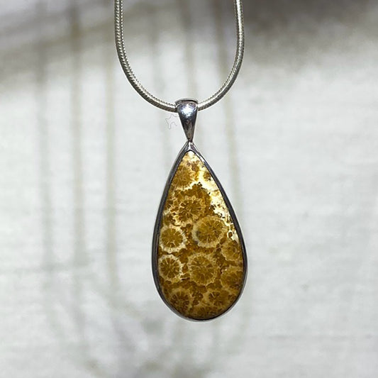 Teardrop Fossil Coral Pendant