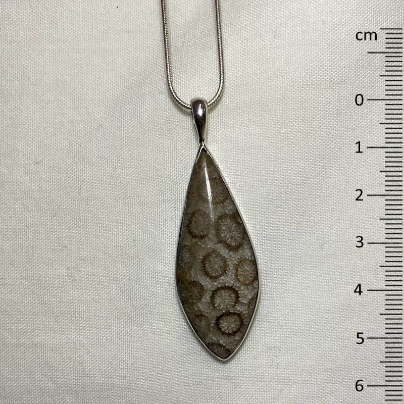 Marquese Fossil Coral Pendant