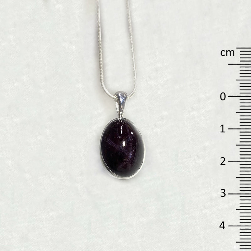 Oval Star Garnet Pendant