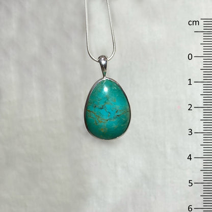 Freeform Arizona Turquoise Pendant